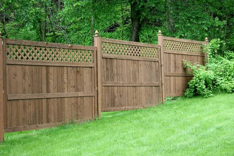 Fence Removal